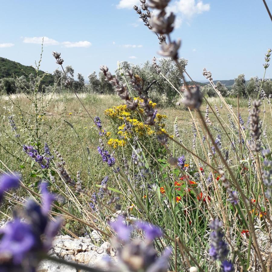Agriturismo Poggio Falco Batignano Esterno foto
