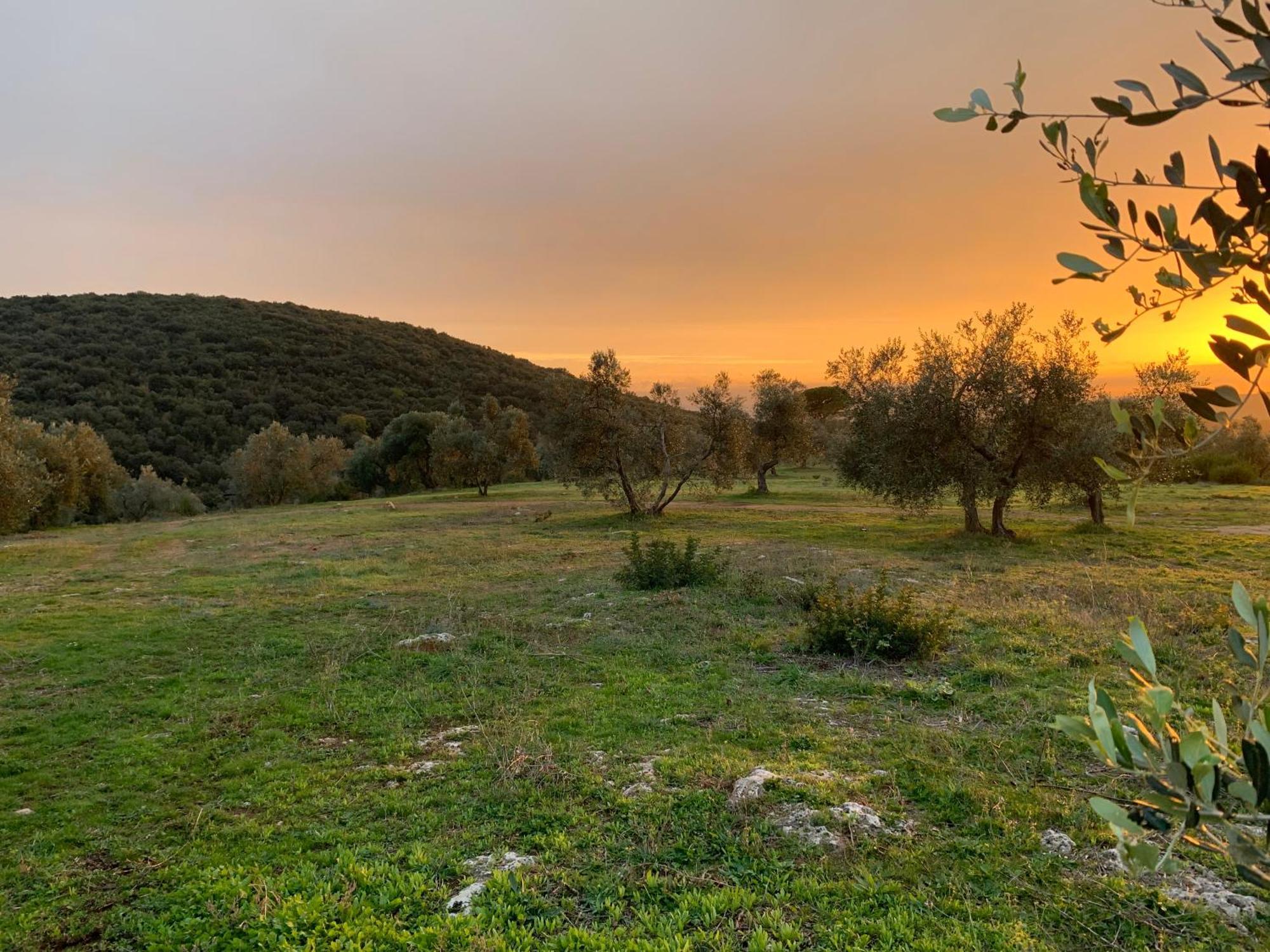 Agriturismo Poggio Falco Batignano Esterno foto