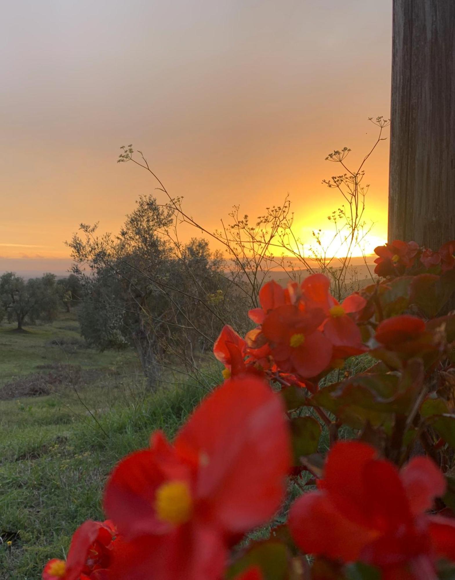 Agriturismo Poggio Falco Batignano Esterno foto