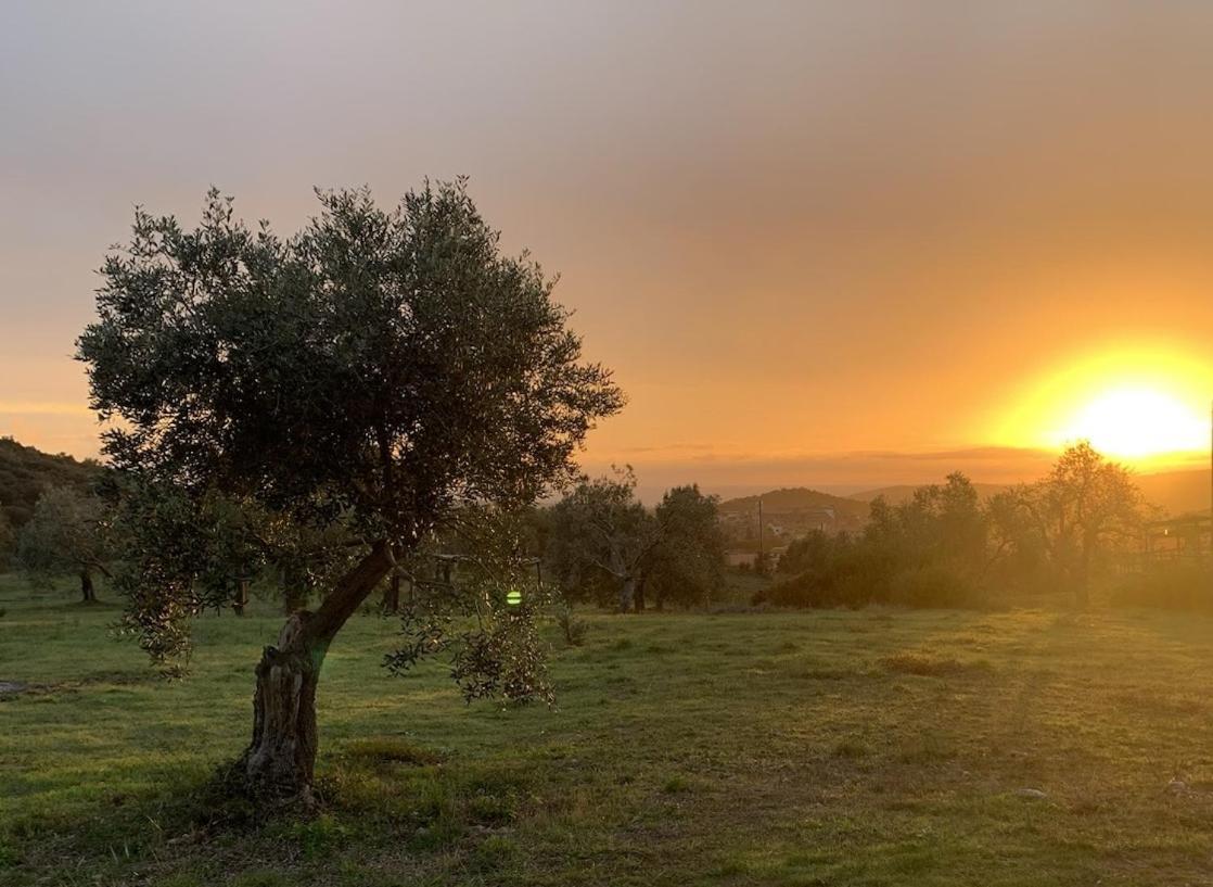 Agriturismo Poggio Falco Batignano Esterno foto